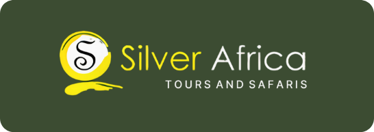 Silver Africa Tours & Safaris logo
