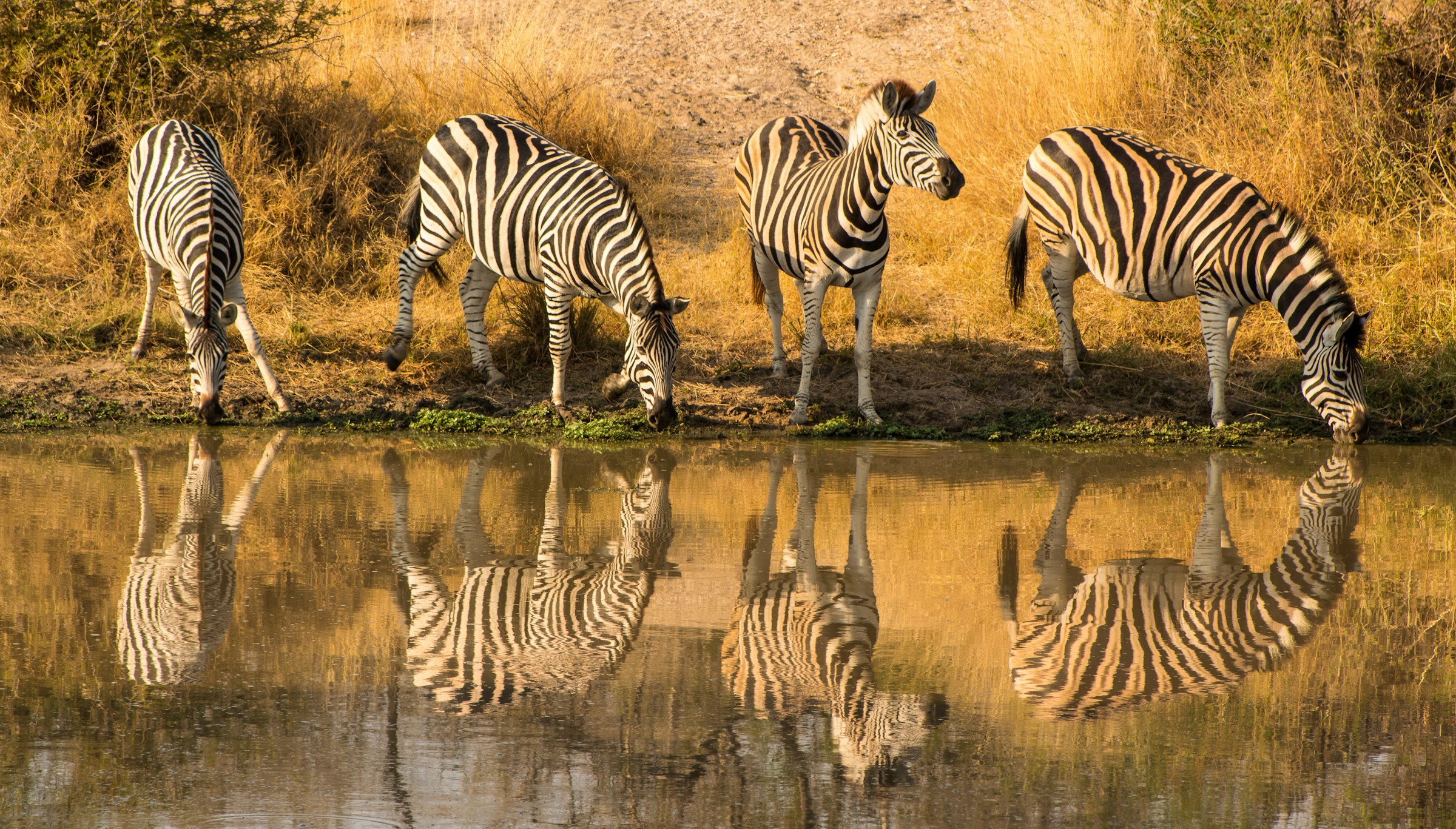 Luxury safari landscape in Africa
